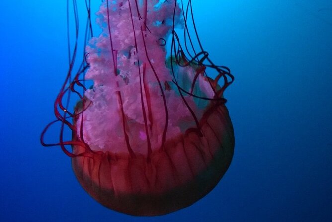 Aquarium Du Quebec: a Playground Overflowing With Life! - Dining and Refreshment Options