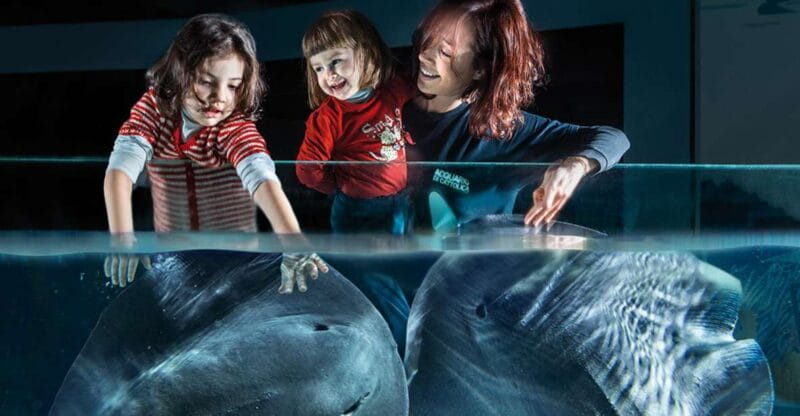 Aquarium of Cattolica Entry Ticket - The Marine Life: What Youll Encounter