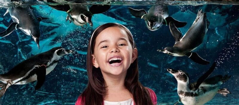 Aquarium of Cattolica Entry Ticket - Educational and Interactive Elements