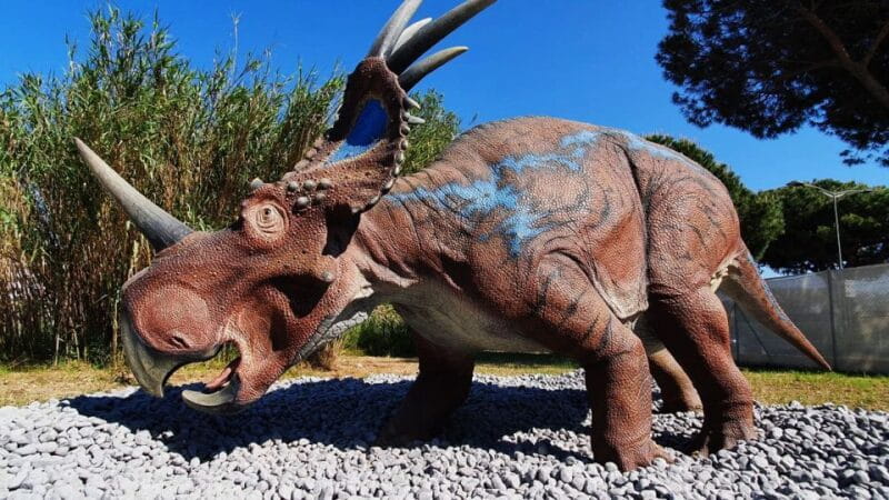 Aquarium of Cattolica Entry Ticket - Practical Tips for Visiting