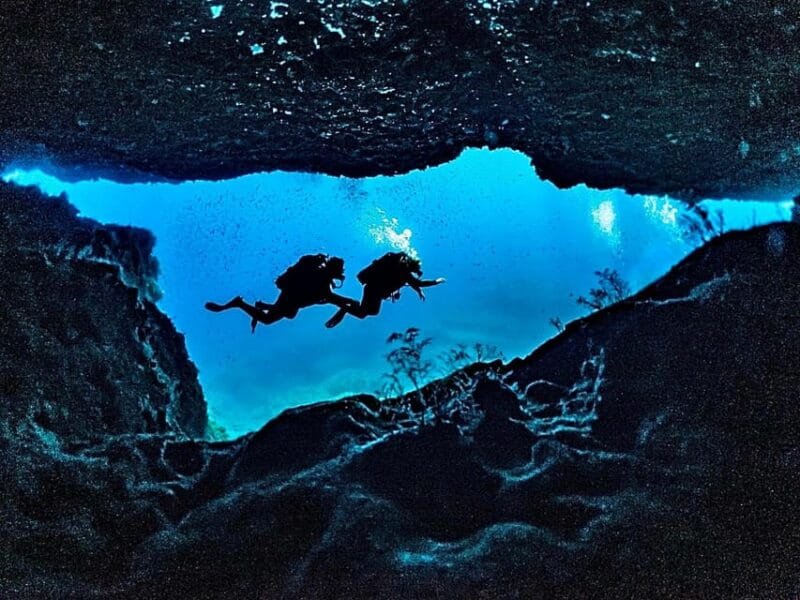 Aquatic Day Escape - Trips in Gozo, Comino & Malta - Key points / Takeaways