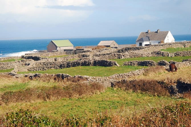 Aran Island, Cliffs of Moher & Cruise Tour From Galway. Guided. - Cliffs of Moher Experience