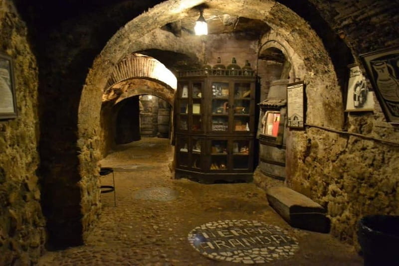 Aranda de Duero: Guided and Dramatized Visit to Medieval Wi - Exploring the Depths of Aranda de Duero’s Medieval Wineries