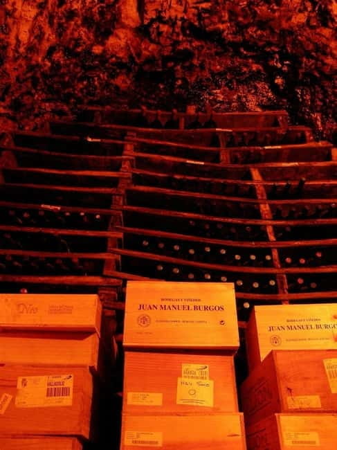 Aranda de Duero: Guided and Dramatized Visit to Medieval Wi - Who Will Love This Experience?