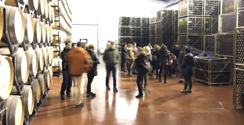 Aranda de Duero: Martín Berdugo Winery - Tour and Tasting - Entering the Vineyard and Winery