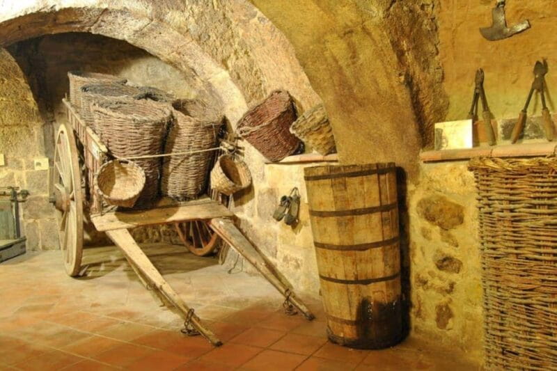 Aranda de Duero: Tour of Underground Cellar and Wine Museum - Key points / Takeaways