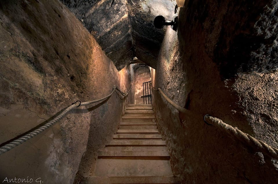 Aranda De Duero: Wine Tasting Course With Iberian Tasting - Wine Tasting Course Details