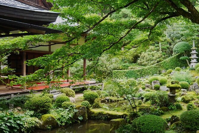 Arashiyama Autumn Leaves & Sanzen-In Temple Tour From Osaka/Kyoto - Accessibility and Participation Information