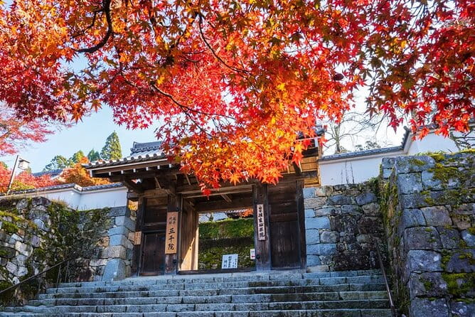 Arashiyama Autumn Leaves & Sanzen-In Temple Tour From Osaka/Kyoto - Frequently Asked Questions