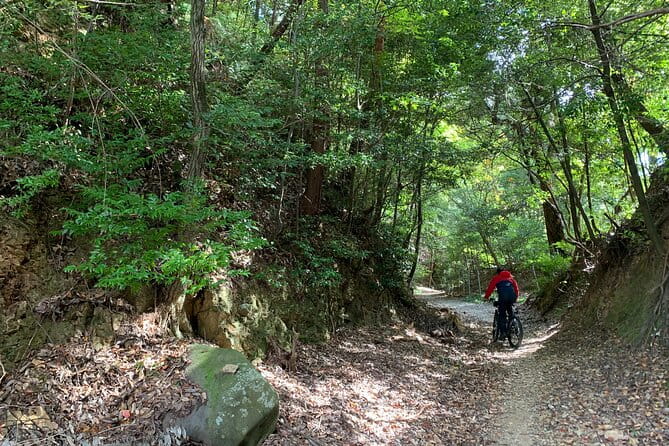 Arashiyama Kinkakuji Quiet Trail E-Bike Tour With Hotel Transfer - Health and Accessibility