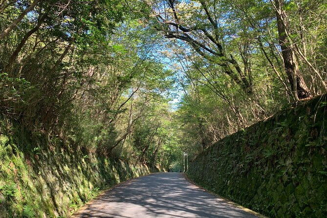 Arashiyama Kinkakuji Quiet Trail E-Bike Tour With Hotel Transfer - Getting There