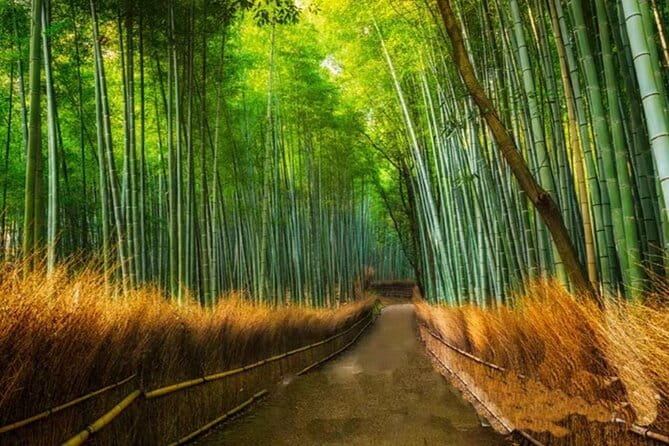 Arashiyama, Sanzenin and Bamboo Forest Day Tour From Kyoto/Osaka - Itinerary Highlights