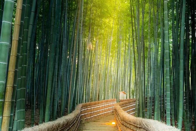 Arashiyama, Sanzenin and Bamboo Forest Day Tour From Kyoto/Osaka - Tour Logistics and Booking Information