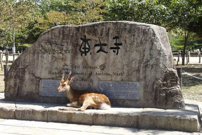 Arashiyama, Yasaka Shrine, Hanamikoji Todaiji Day Tour From Osaka - Transportation and Accessibility