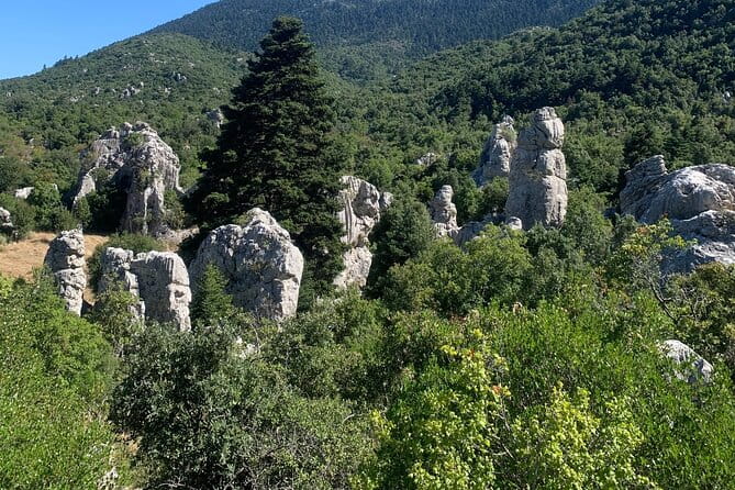 Arcadia experience, nature, people and culture - FAQ