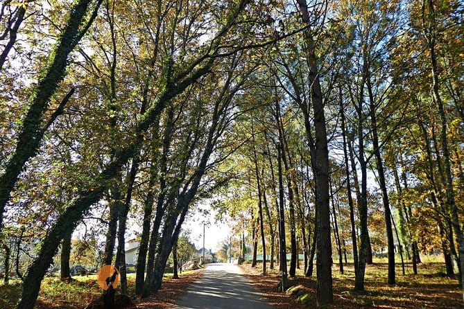 Archaeological Circuit of Fiais/Azenha and Cova da Moira - The Itinerary in Detail