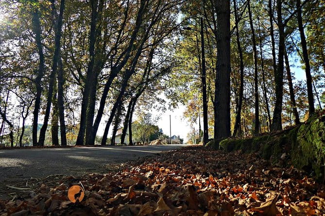 Archaeological Circuit of Fiais/Azenha and Cova da Moira - Who Would Enjoy This?