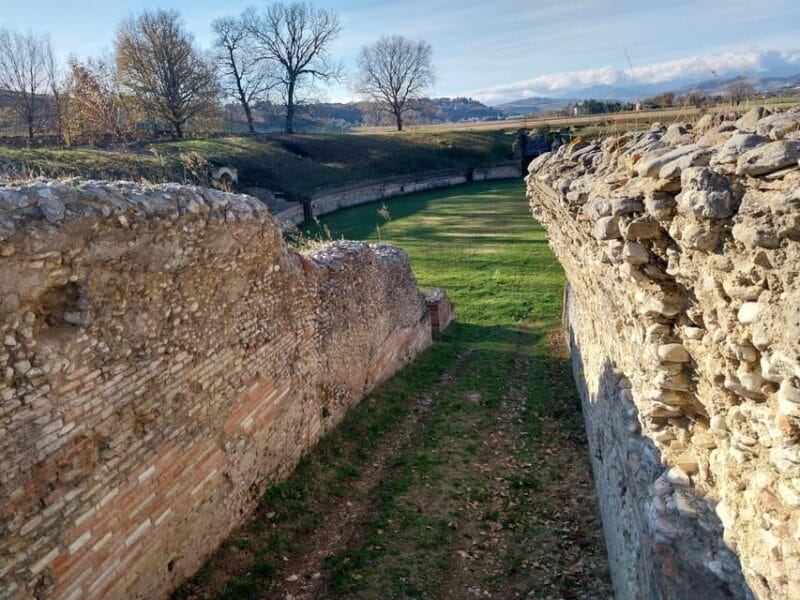 Archaeological Park of Suasa: ticket and guided tour - Exploring the Archaeological Park of Suasa: A Walk Through Roman Times