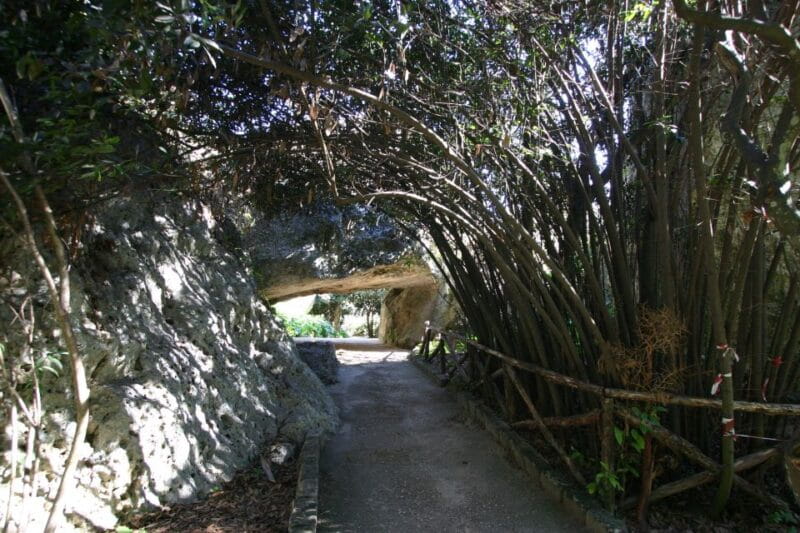 Archaeological Syracuse: Neapolis Park private tour - Walking into Syracuse’s Ancient Past