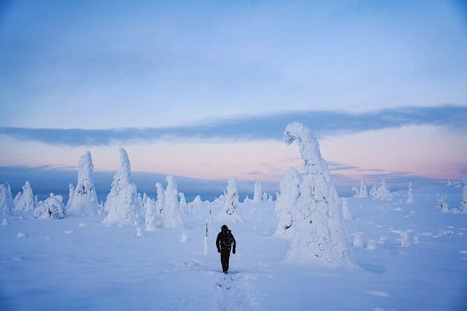 Arctic Adventure through Magical Frozen Forests of Riisitunturi - The True Magic of Snowy Trees and Scenic Stops