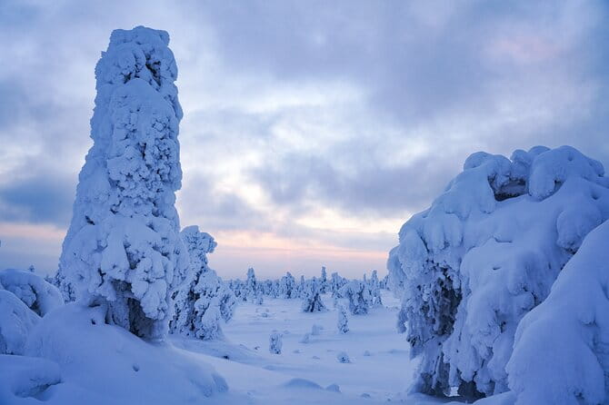 Arctic Adventure through Magical Frozen Forests of Riisitunturi - FAQ