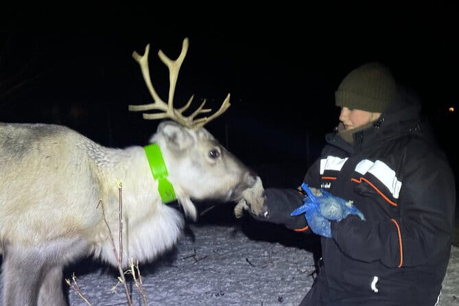 Arctic Adventure with Reindeer and Northern Lights Hunt 18:30 pm - Frequently Asked Questions