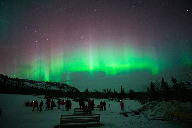 Arctic Day: Aurora Viewing Tour | Late Night - Meeting and Pickup Details