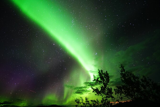 Arctic Day: Aurora Viewing Tour | Late Night - Booking and Confirmation