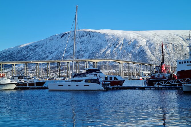 Arctic Fjordcruise & Safari in Tromso With Luxury Catamaran - Additional Information