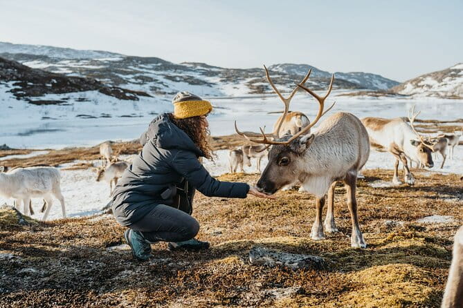 Arctic Fjords and Reindeer Experience  Small group tour - - Key Points