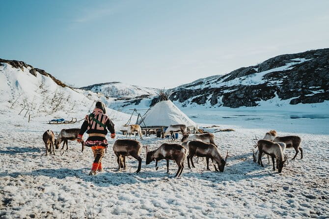 Arctic Fjords and Reindeer Experience  Small group tour - - The Detailed Experience – Breaking Down the Itinerary