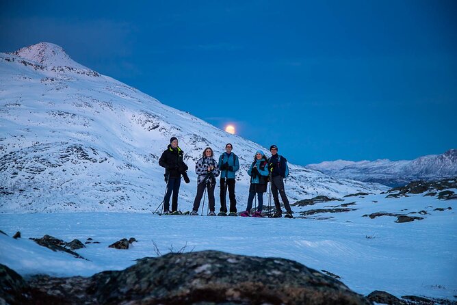 Arctic Landscapes Hiking Tour - Sightseeing & Snowshoeing, Tromsø - Warm Refreshments Provided