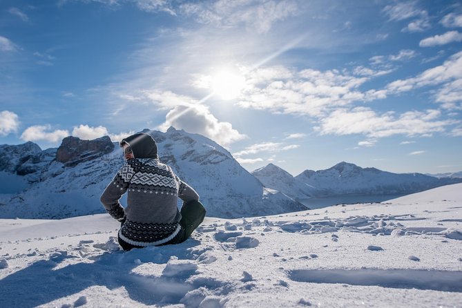 Arctic Nature Photography Sightseeing Tour From Tromso - Arctic Landscape Photography