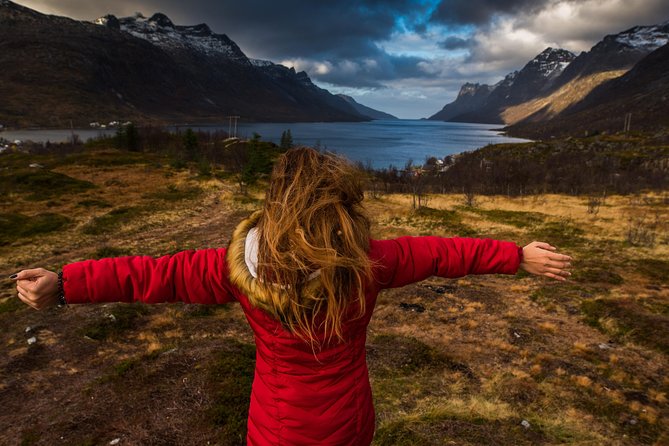 Arctic Nature Tour From Tromsø by Minibus - Cancellation Policy