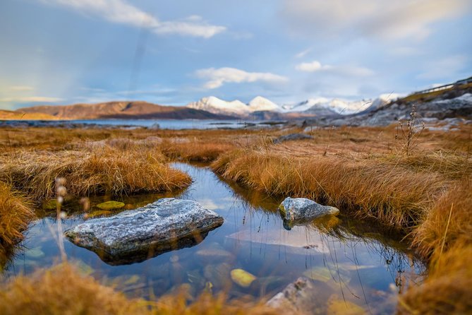 Arctic Nature Tour From Tromsø by Minibus - What to Expect