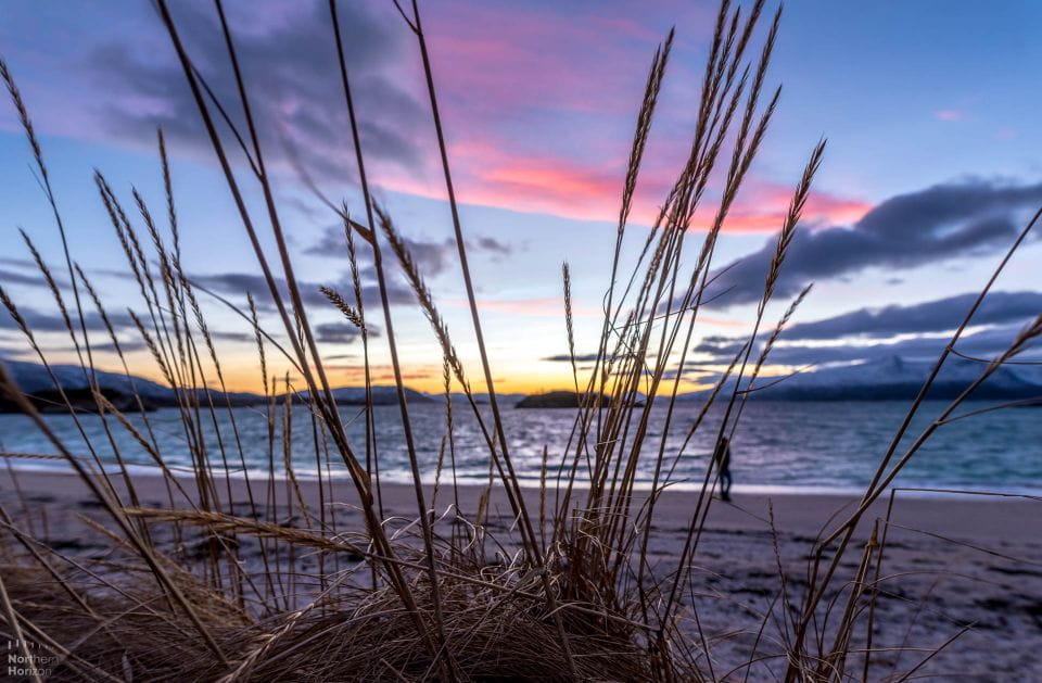 Arctic Nature Tour From Tromsø - Inclusions
