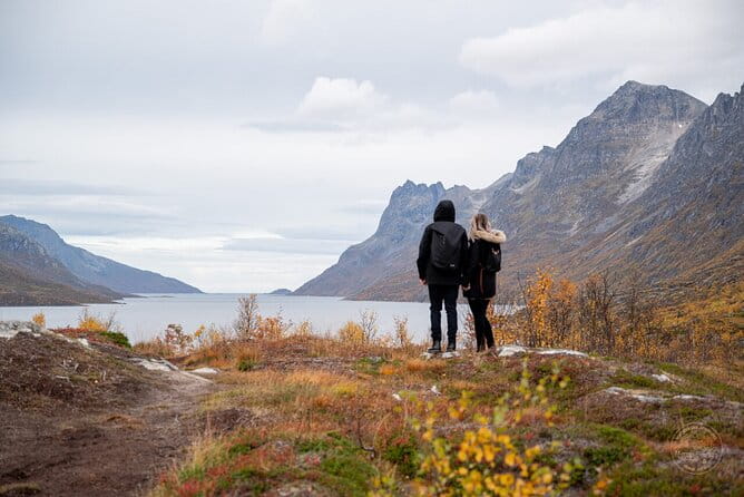 Arctic Roadtrip: fjords with scenic picnic | Small group 4x4 Van - Key Points