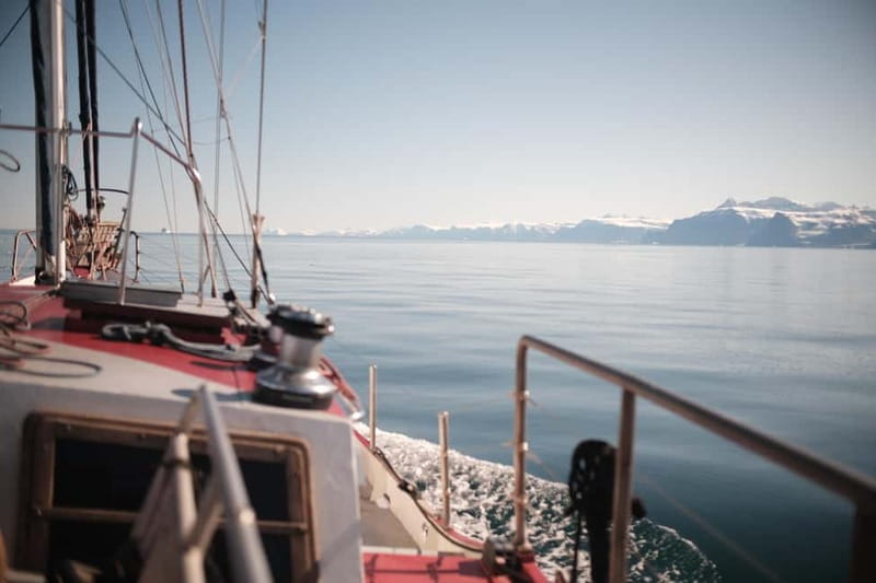 Arctic: Sailing Expedition Svalbard, Iceland, Greenland - The Final Leg: Iceland’s Westfjords and Ísafjörður