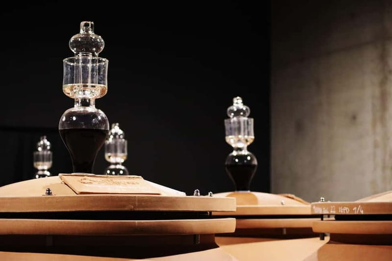 Ardèche: Cellar tour and tasting of 15 wines - What’s Included and How It’s Structured