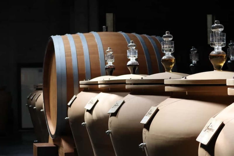 Ardèche: Tour and tasting of wines aged in amphorae and barrels - How This Experience Fits Different Travelers