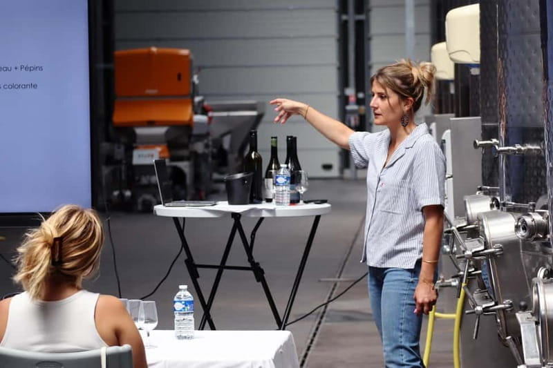 Ardèche: Tour and tasting of wines aged in amphorae and barrels - Final Thoughts