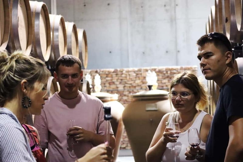 Ardèche: Wine workshop at Domaine les Amoureuses - A Closer Look at the Tasting and Learning Process