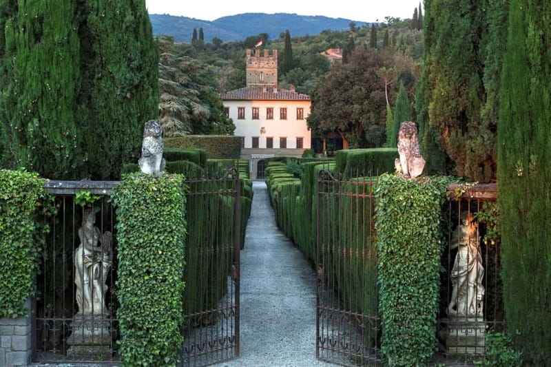 Arezzo Experience: Winery Tour and Wine Tasting - Key Points / Takeaways