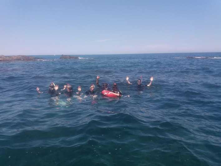 Argelès-sur-Mer: snorkeling into the Marine Natural Park - The Experience Begins at Magellan