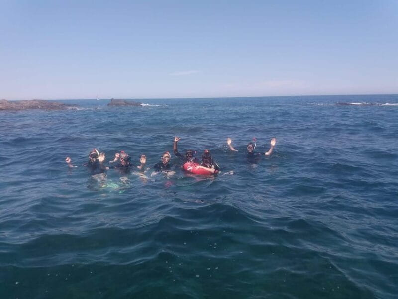 Argelès-sur-Mer: snorkeling into the Marine Natural Park - Snorkeling: Seeing Underwater Wonders