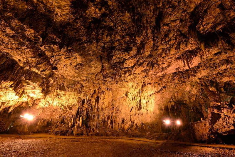 Argostoli: Shore Excursion to Caves with Local Wine Tasting - Price, Logistics, and Value