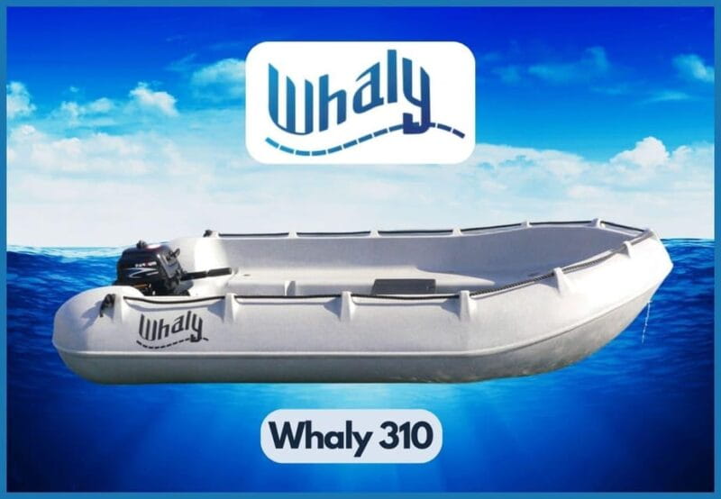 Arguineguin, Gran Canaria: Zodiac rental without licence - Price, Logistics, and Overall Value