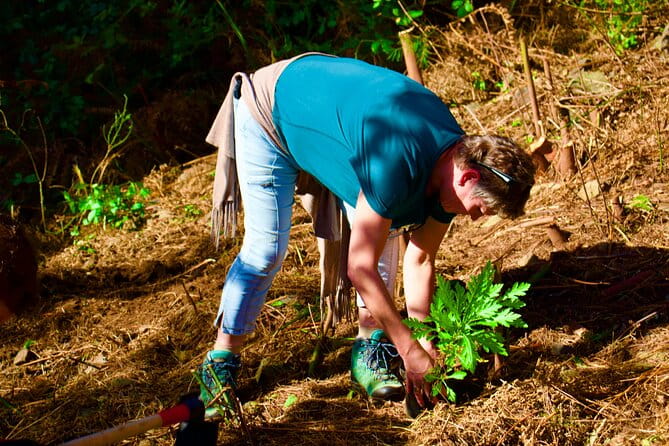 Arieiro Peak, Santana & Ponta São Lourenço in Open Roof 4X4 Tour - In-Depth Look at the Tour