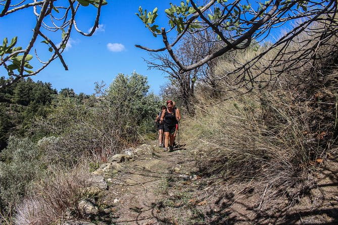 Arkadi-ancient Eleftherna-margarites - Practicalities and Who Should Consider This Tour