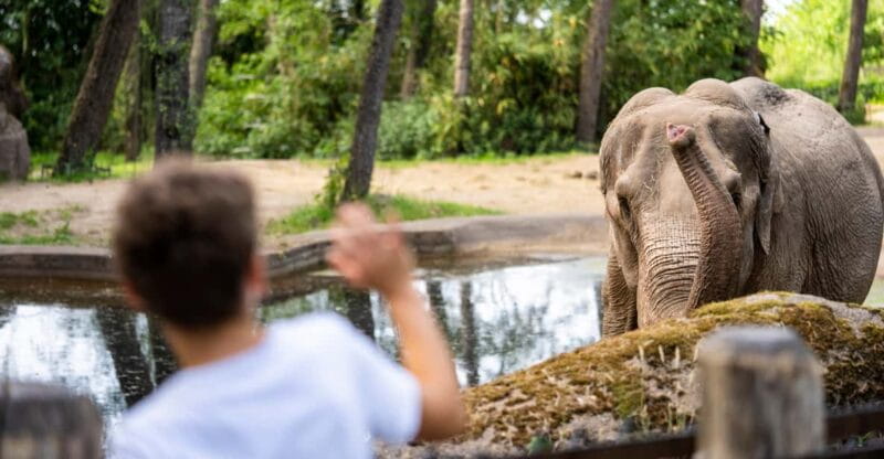 Arnhem: Burgers' Zoo Entry Ticket - Key points / Takeaways